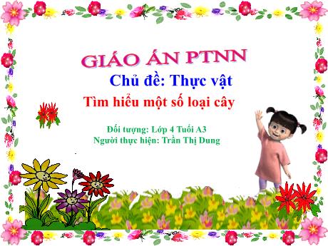 Bài giảng Mầm non Lớp Chồi - Lĩnh vực Phát triển ngôn ngữ - Chủ đề: Thực vật. Tìm hiểu một số loại cây - Trần Thị Dung