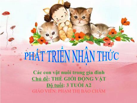 Bài giảng Mầm non Lớp Mầm - Chủ đề: Thế giới động vật - Đề tài: Các con vật nuôi trong gia đình - Phạm Thị Bảo Châm