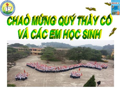 Giáo án Sinh học 9 - Tiết 51. Bài 50: Hệ sinh thái